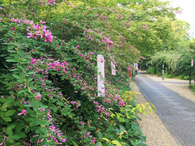 梨木神社の概要